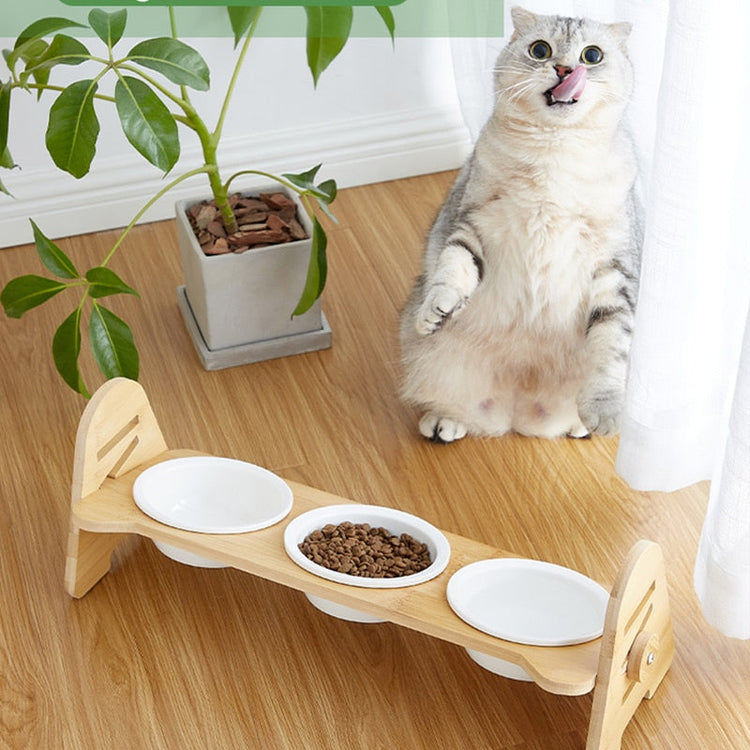 Pet Feeders - Pampered Pets