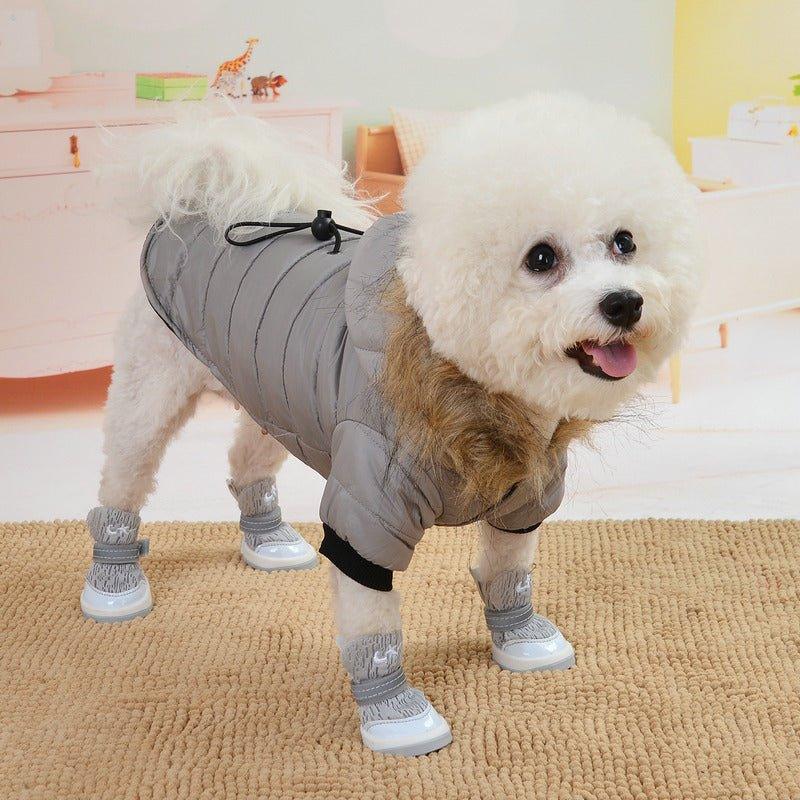 Paka Winter Jacket - Pampered Pets