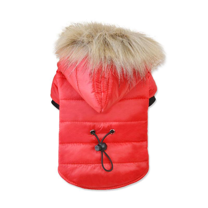 Paka Winter Jacket - Pampered Pets