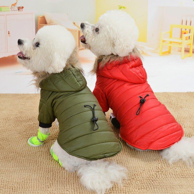 Paka Winter Jacket - Pampered Pets