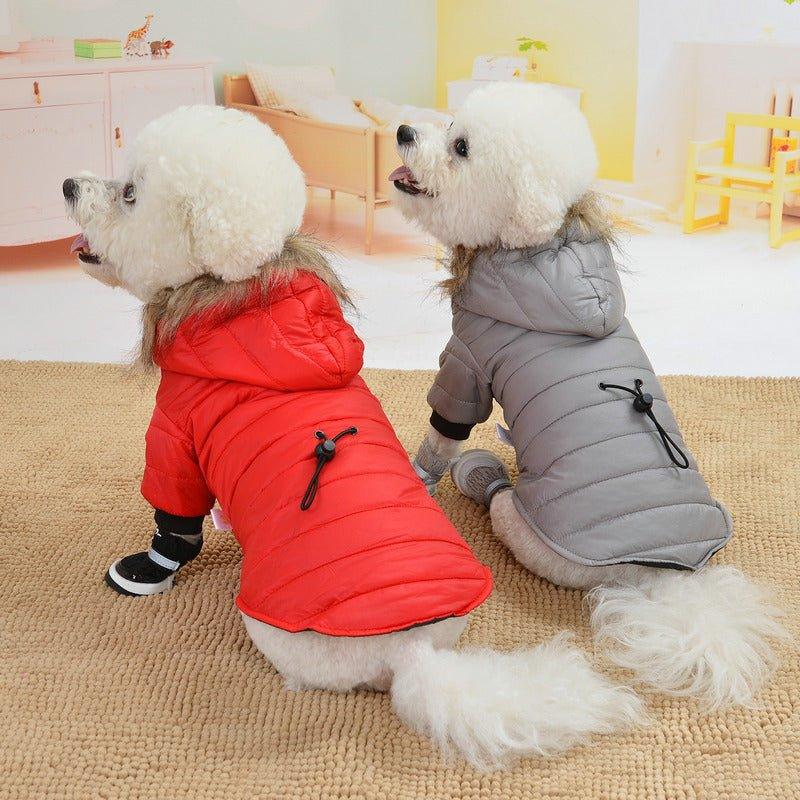 Paka Winter Jacket - Pampered Pets