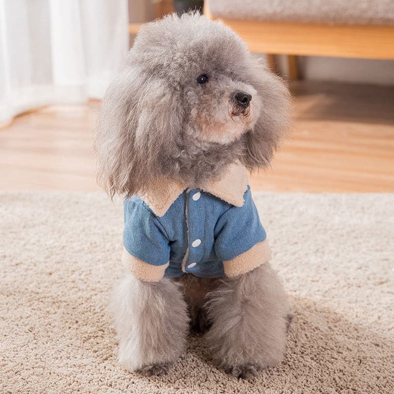 Thick warm clothes for pets | Pampered Pets