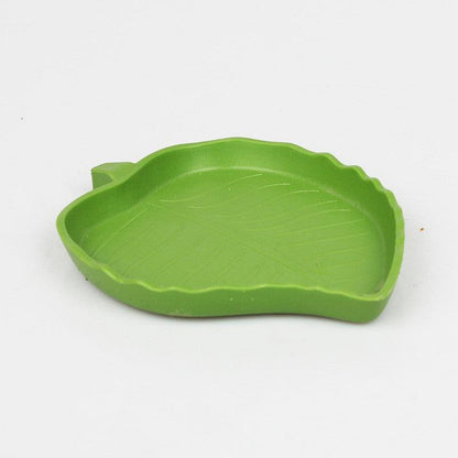 Nomo Reptile Food Basin Tortoise Box Water Basin Crawling Pet Box Food Plate - Pampered Pets