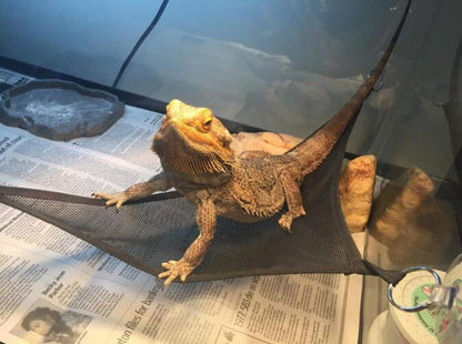 Reptile Hammock Lizard Snake Pet Hammock - Pampered Pets