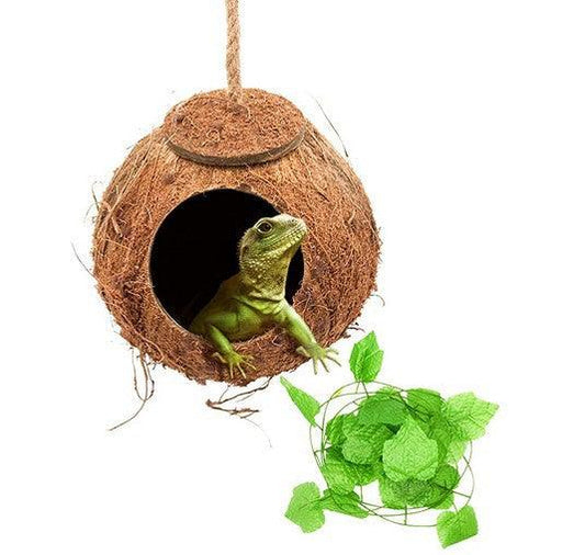 reptile swing - Pampered Pets