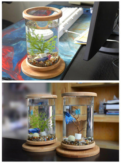 Small Office Glass Aquarium Bamboo Base Mini Fish Tank Decoration Fish Bowl - Pampered Pets