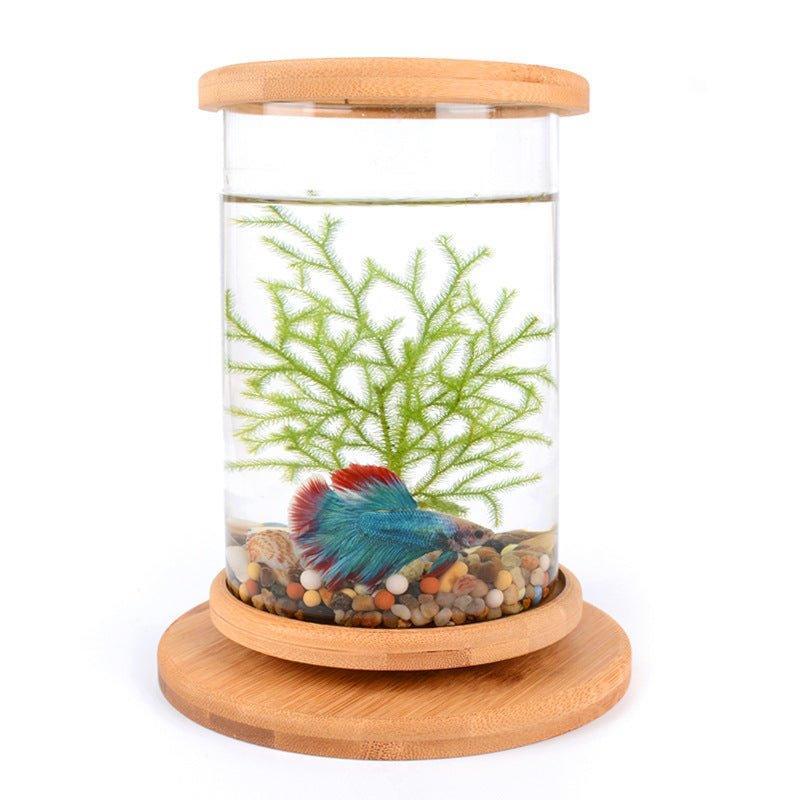 Small Office Glass Aquarium Bamboo Base Mini Fish Tank Decoration Fish Bowl - Pampered Pets