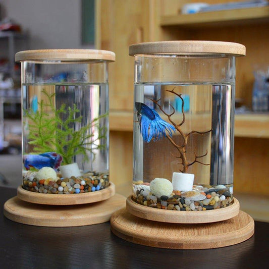 Small Office Glass Aquarium Bamboo Base Mini Fish Tank Decoration Fish Bowl - Pampered Pets