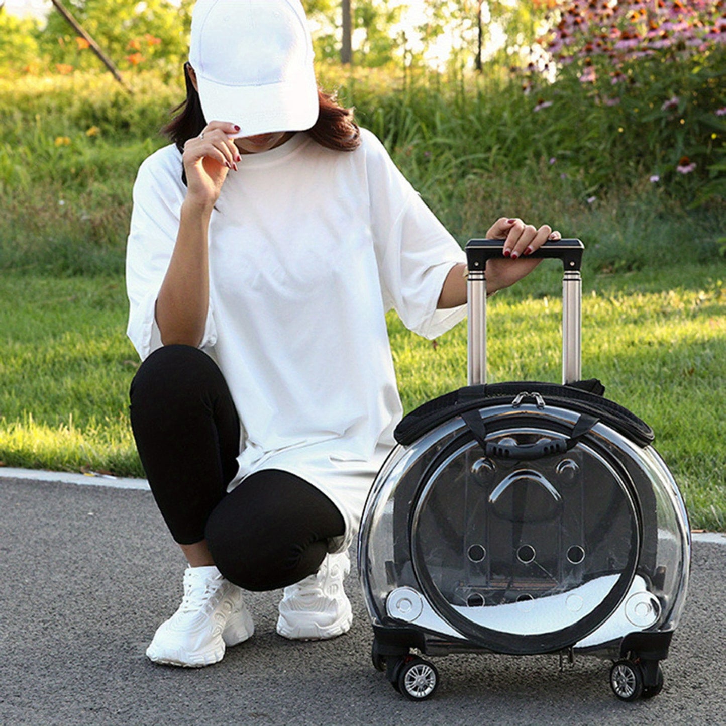 Pet Trolley Case Clear Ventilation Holes Silent Wheels Convenient Portable Cats Dogs Backpack for Travel