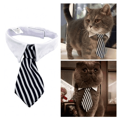 Pet bow tie tie child baby tie cartoon print small tie spot wholesale dog tie - Pampered Pets