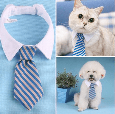 Pet bow tie tie child baby tie cartoon print small tie spot wholesale dog tie - Pampered Pets