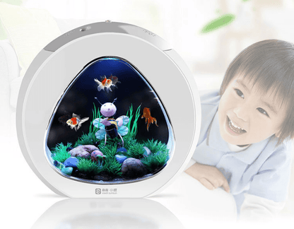 Desktop fish tank aquarium - Pampered Pets