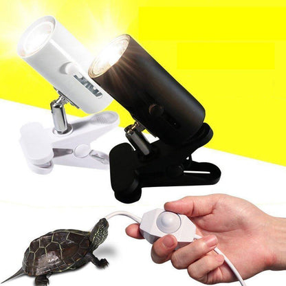 Reptile light stand - Pampered Pets