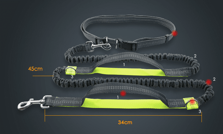 Multi-function running/ reflective/ pull/ dual elastic dog leash - Pampered Pets