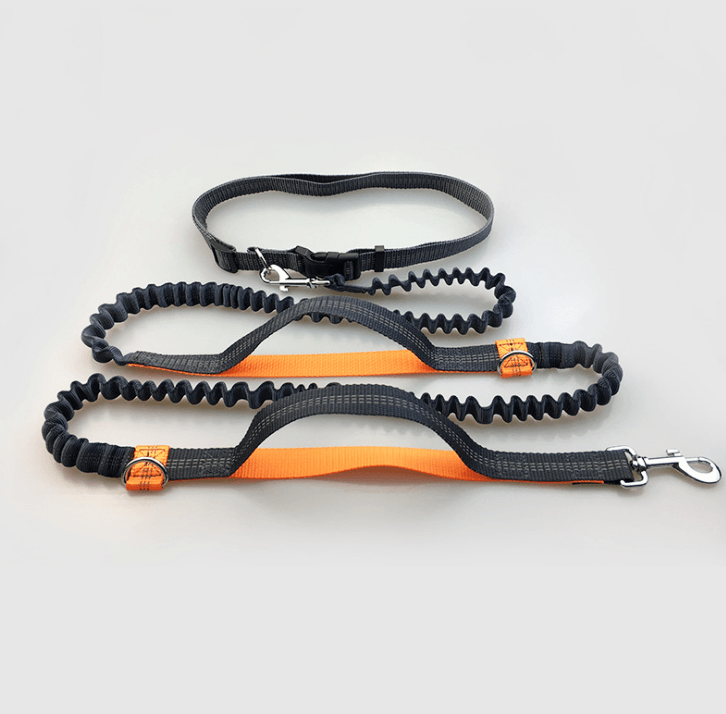 Multi-function running/ reflective/ pull/ dual elastic dog leash - Pampered Pets