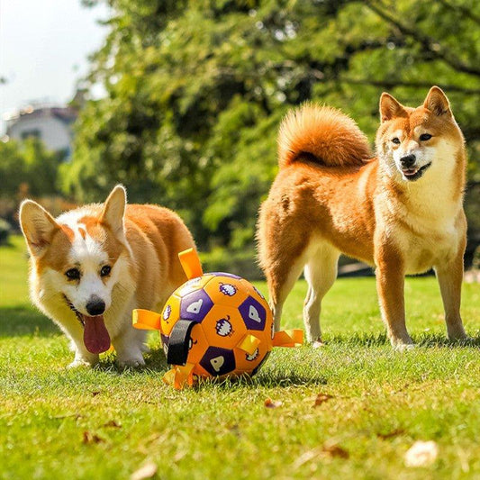 Pet Interactive Football Dog Outdoor Toy Molar Long Lasting - Pampered Pets