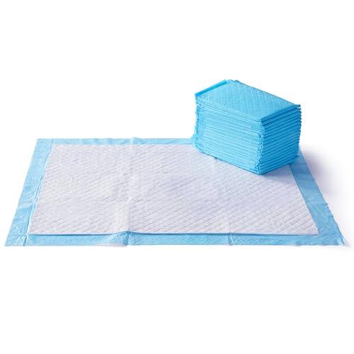 Amazon Basics Dog and Puppy Pee Pads with Leak-Proof Quick-Dry Design for Potty Training, Standard Absorbency, Regular Size, 22 x 22 Inches, Pack of 100, Blue & White - Pampered Pets