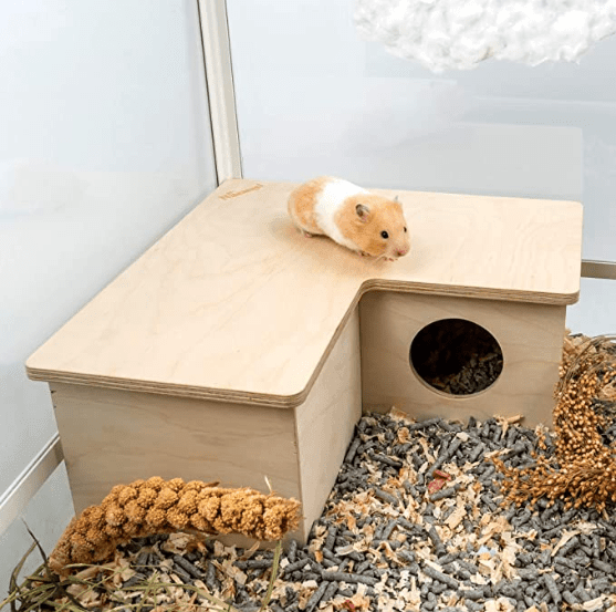 Hamster Multi-Room - Pampered Pets