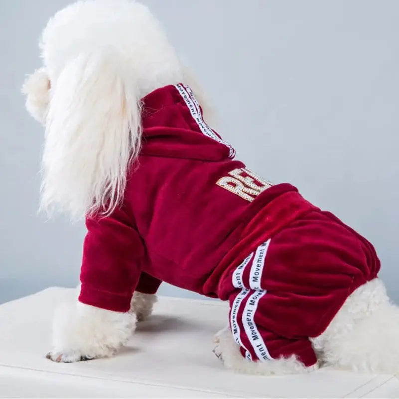 Fashion Letter Pet Dog Clothes for Dogs Coat Hoodie Sweatshirt Four Seasons Dog Clothing Cartoon Pets Clothing Bodysuit - Image #9