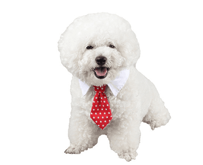 Pet bow tie tie child baby tie cartoon print small tie spot wholesale dog tie - Pampered Pets