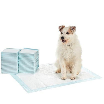 Amazon Basics Dog and Puppy Pee Pads with Leak-Proof Quick-Dry Design for Potty Training, Standard Absorbency, Regular Size, 22 x 22 Inches, Pack of 100, Blue & White - Pampered Pets