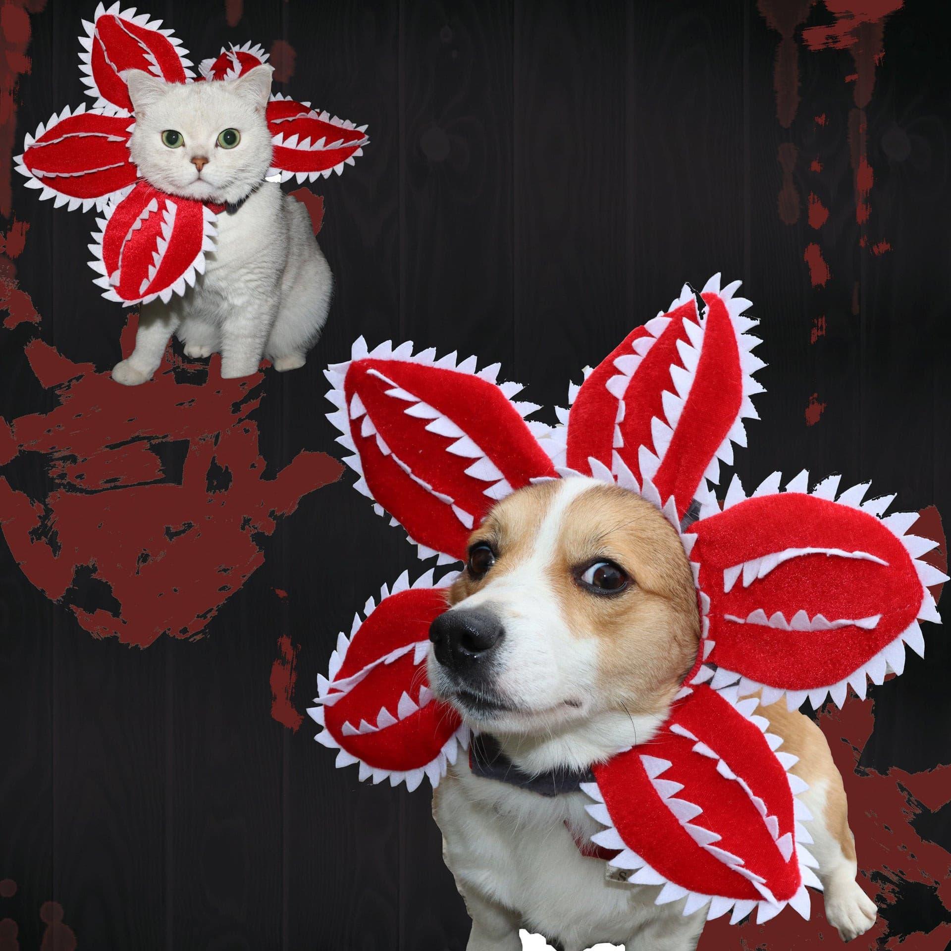 Cat Funny Cannibal Flower Headgear - Pampered Pets