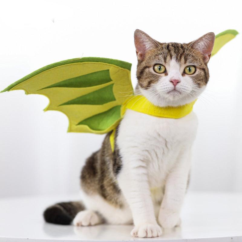 Halloween Pet Dinosaur Wings Makeover - Pampered Pets