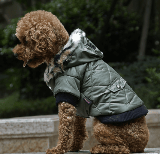 Cross-border pet supplies pet clothes dog clothes autumn and winter fur collar coat pet dog clothing - Pampered Pets