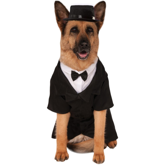 Big Dog Dapper Suit Pet Costume | Pampered Pets