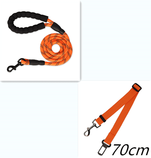 Reflective Dog Leash Nylon Pet Dog Leash Rope For Small Medium Large Dogs Walking Training Pet Suppiles - Pampered Pets