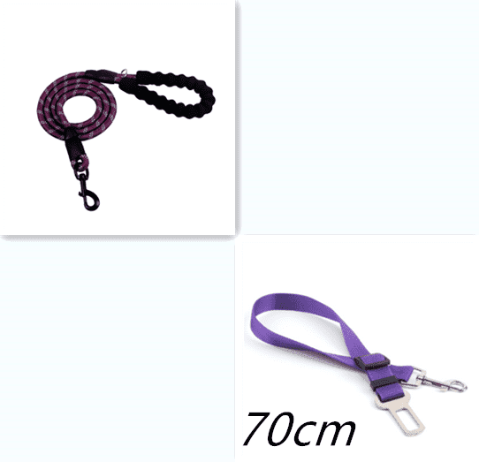 Reflective Dog Leash Nylon Pet Dog Leash Rope For Small Medium Large Dogs Walking Training Pet Suppiles - Pampered Pets