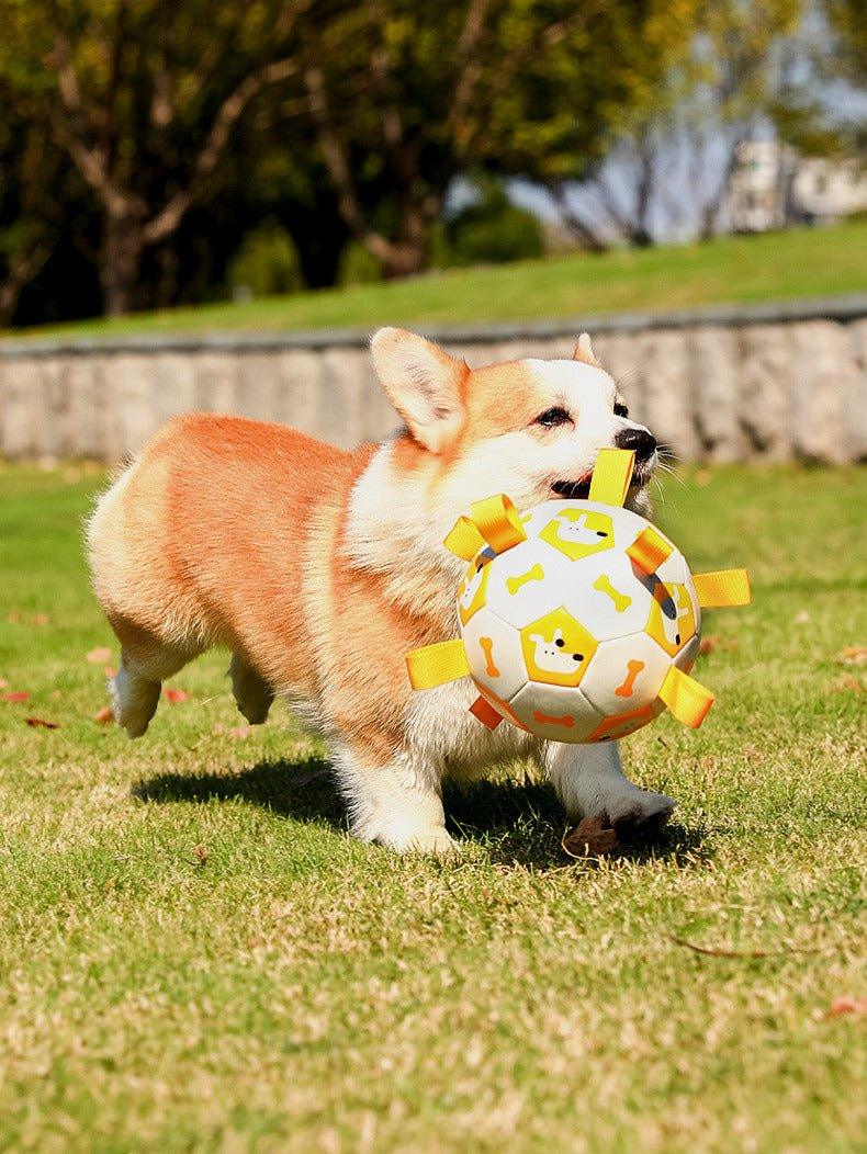 Pet Interactive Football Dog Outdoor Toy Molar Long Lasting - Pampered Pets