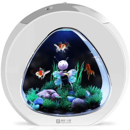 Desktop fish tank aquarium - Pampered Pets