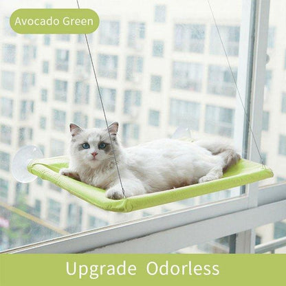 Suction Cup Hanging Cat Hammock - Pampered Pets