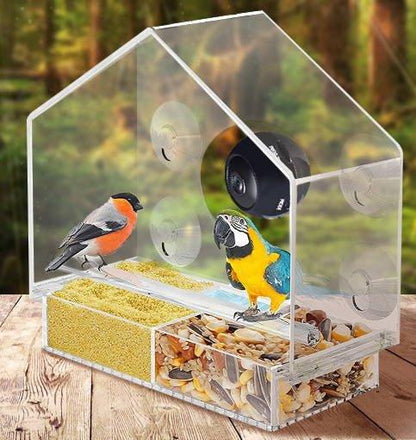 Bird Feeder Camera Live Bird Feeder Cam Bird Buddy Smart Bird Feeder With Camera - Pampered Pets