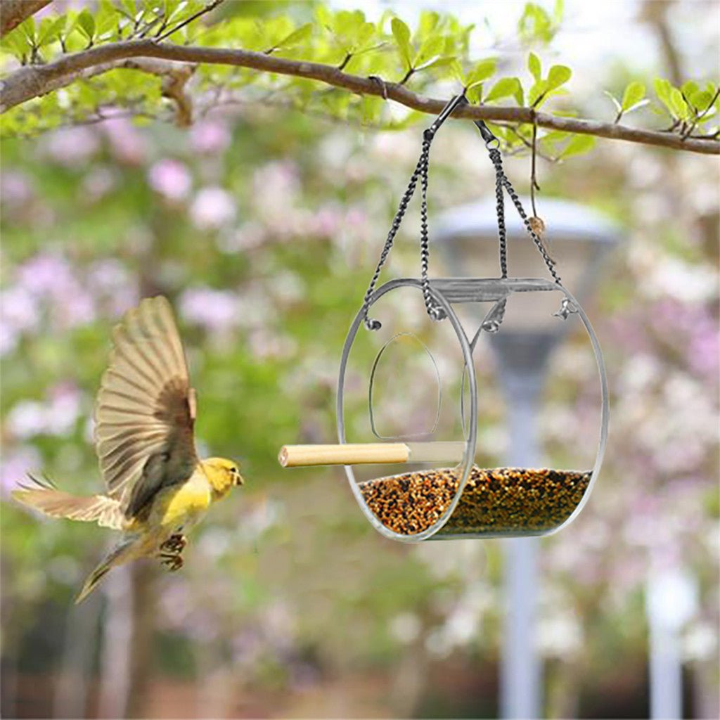 Acrylic Bird Food Box - Pampered Pets