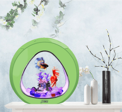 Desktop fish tank aquarium - Pampered Pets