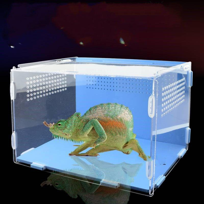 Reptile Tank Feeding Thermal Box Acrylic Transparent - Pampered Pets