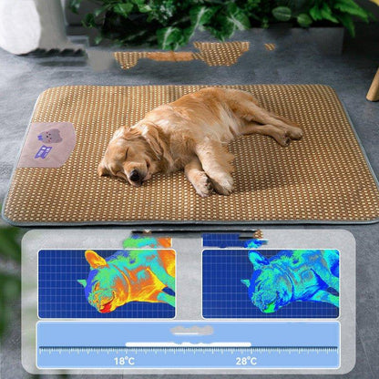 Four Seasons Cool Mat Small Big Dog - Pampered Pets