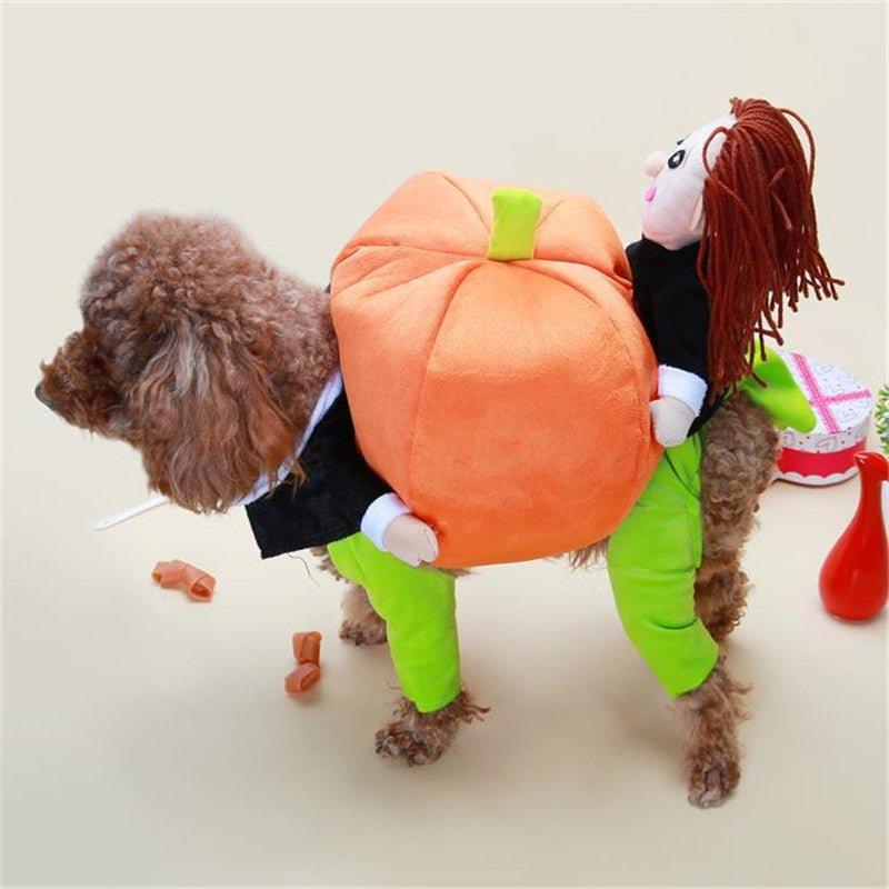 Pet Halloween Pumpkin Decorations for Clothes - Pampered Pets