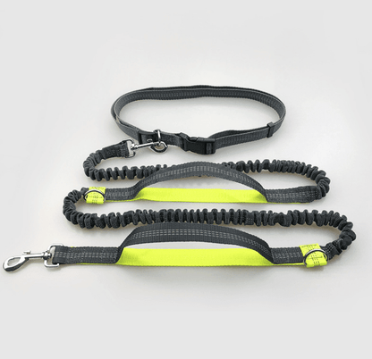 Multi-function running/ reflective/ pull/ dual elastic dog leash - Pampered Pets