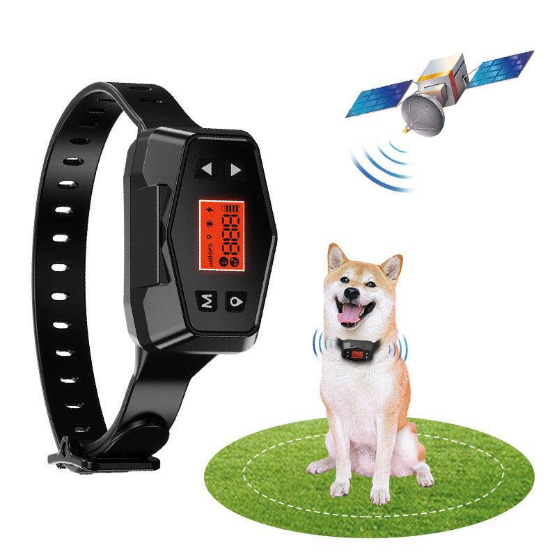 Outdoor Training Intelligent GPS Positioning Wireless - Pampered Pets