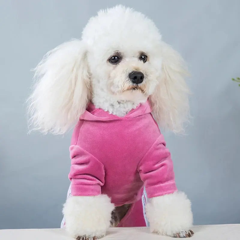 Fashion Letter Pet Dog Clothes for Dogs Coat Hoodie Sweatshirt Four Seasons Dog Clothing Cartoon Pets Clothing Bodysuit - Image #8