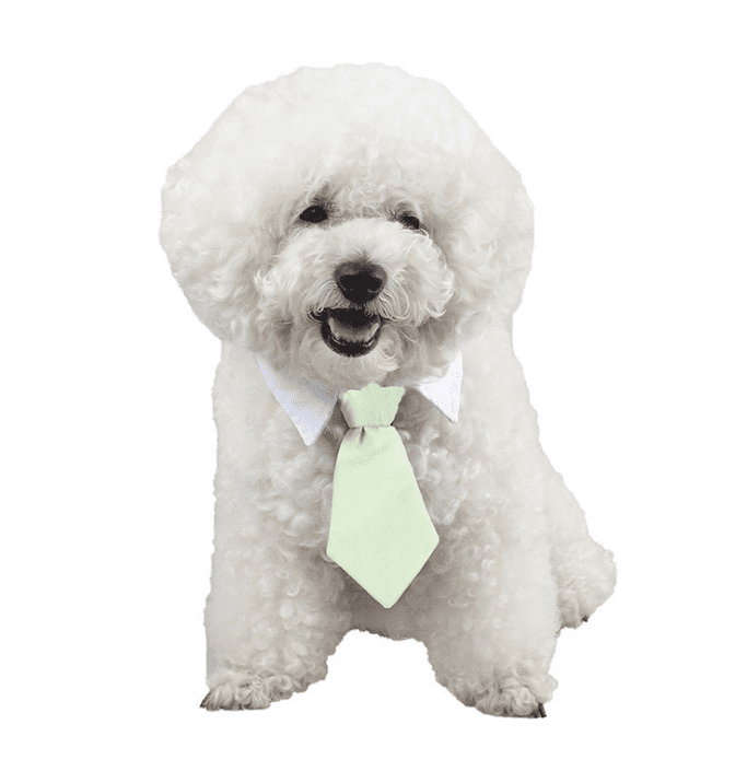 Pet bow tie tie child baby tie cartoon print small tie spot wholesale dog tie - Pampered Pets