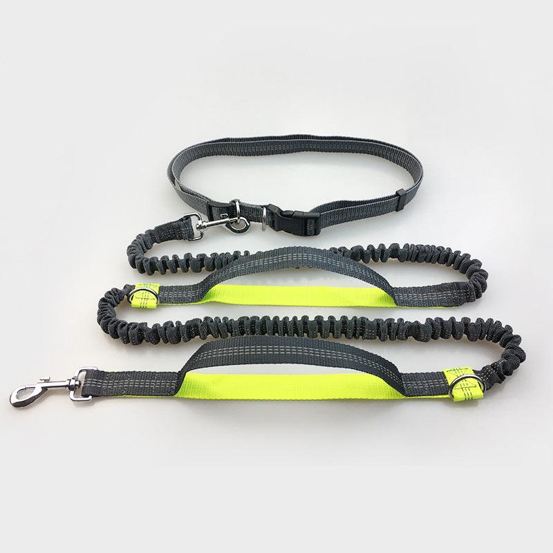 Multi-function running/ reflective/ pull/ dual elastic dog leash - Pampered Pets