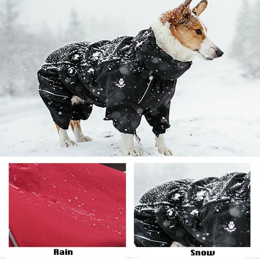 Pet Dog Coat Outdoor Waterproof - Pampered Pets