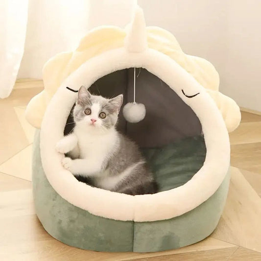 Adorable Dinosaur Pet House with Toy | Pampered Pets