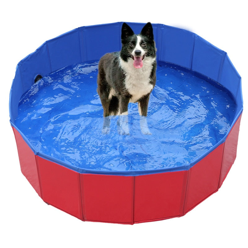 Collapsible Bathing Pool for Dogs Cats | Pampered Pets
