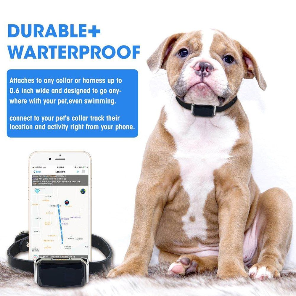Smart Pet GPS Tracking Collar Practical Anti-Lost Waterproof Tracer Waterproof Puppy Dog Mini Tracking Pet Cat Dog Puppy Collar | Pampered Pets