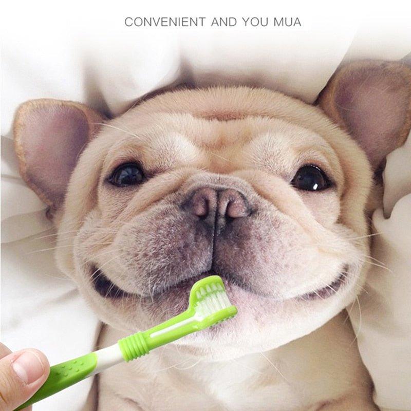 Pet Toothbrush Kit With Soft Dog Finger Toothbrush Pet Multi-angle Cleaning Tooth Dog Cat Dental Care ToothBrushes Set for Pets - Pampered Pets